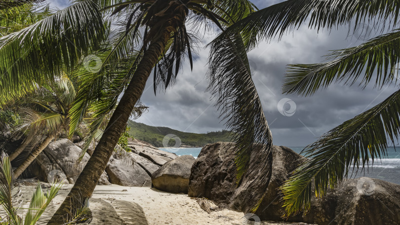 Скачать Большие гранитные валуны громоздятся на тропическом острове. фотосток Ozero
