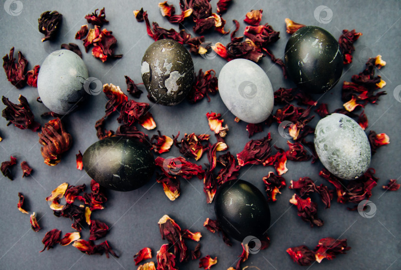 Скачать Расписные пасхальные яйца с эффектом мраморного камня, окрашенные натуральным каркаде из гибискусового чая. фотосток Ozero