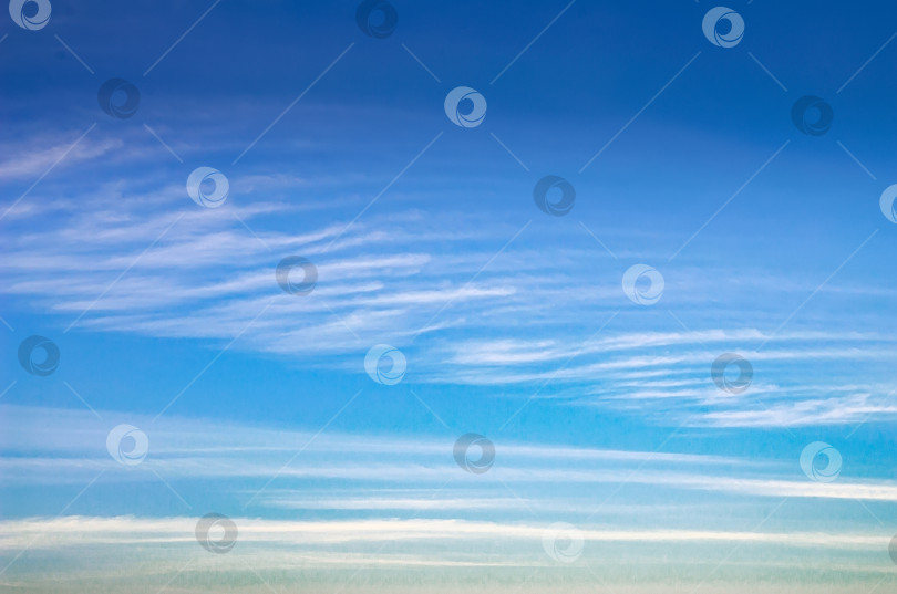 Скачать Утреннее небо с высокими перистыми облаками фотосток Ozero