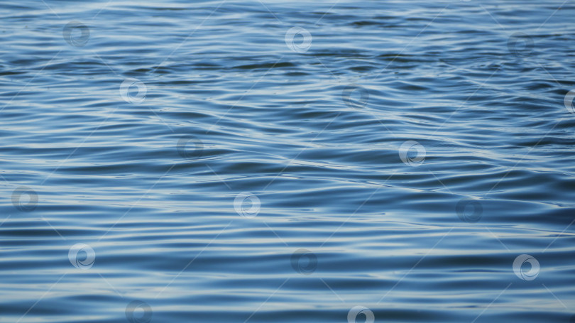 Скачать Голубая морская вода со спокойной рябью крупным планом, текстурный фон. T фотосток Ozero