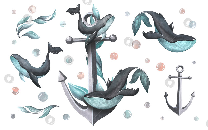 Скачать Черный металлический морской якорь с бирюзовыми водорослями и китами. Акварельная иллюстрация. Набор объектов на белом фоне из коллекции КИТОВ. Для украшения и дизайна. фотосток Ozero