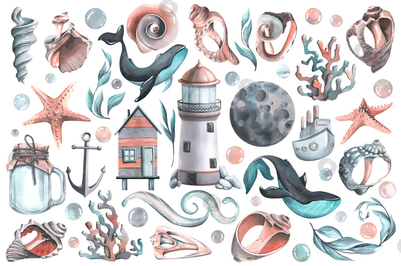 Скачать Большой набор на морскую тематику с китами, маяком, ракушками, кораллами, водорослями, рыбацким домиком. Акварельная иллюстрация. Выделите объекты отдельно в портфолио изображений. Для украшения и дизайна. фотосток Ozero