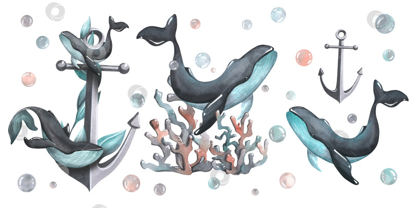 Скачать Набор композиций с китами, якорем, кораллами и пузырьками. Акварельная иллюстрация, нарисованная от руки. Изолированные композиции на белом фоне для принтов, наклеек, плакатов и открыток. фотосток Ozero