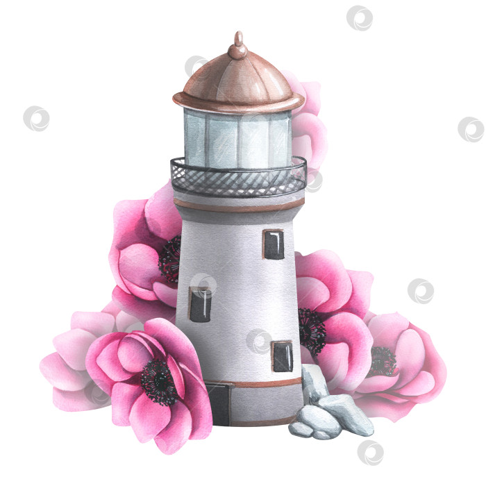 Скачать Морской маяк с розовыми цветами анемоны. Акварельная иллюстрация, нарисованная от руки. Изолированная композиция на белом фоне. Для наклеек, принтов, плакатов, открыток. фотосток Ozero