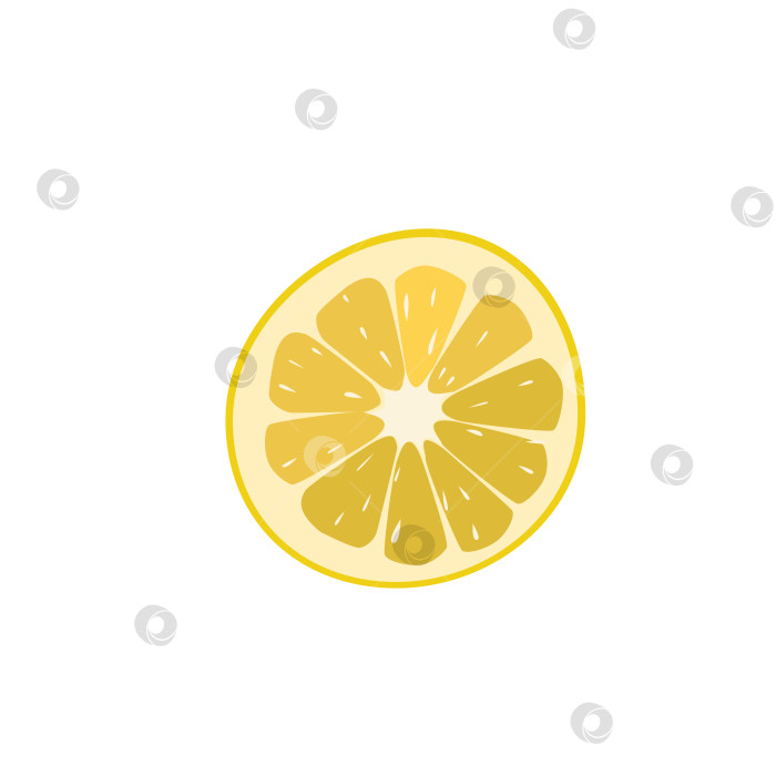 Скачать Векторный круглый сочный ломтик лимона фотосток Ozero