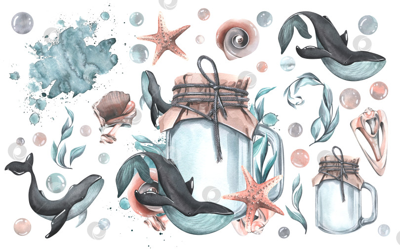 Скачать Стеклянная банка с китами, ракушками, водорослями, пузырьками, пятнышками, брызгами и морской звездой. Акварельная иллюстрация, нарисованная от руки. Изолированная композиция с элементами на белом фоне. фотосток Ozero