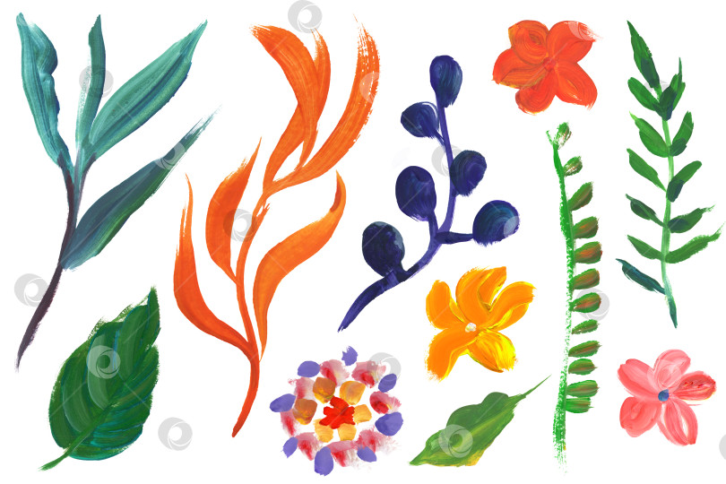 Скачать Коллекция тропических веток и листьев, раскрашенных яркими красками сухой кистью фотосток Ozero