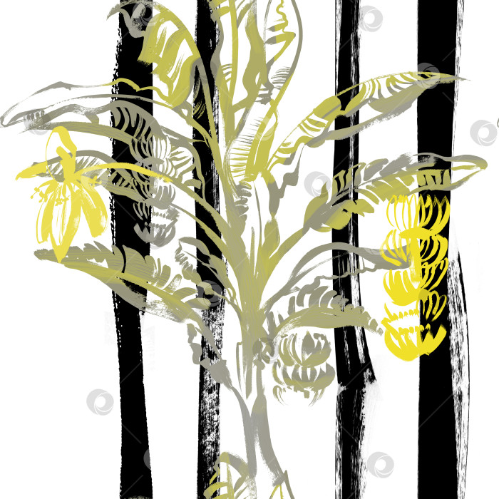 Скачать желтая пальма, растущие бананы и вертикальные черные полосы фотосток Ozero