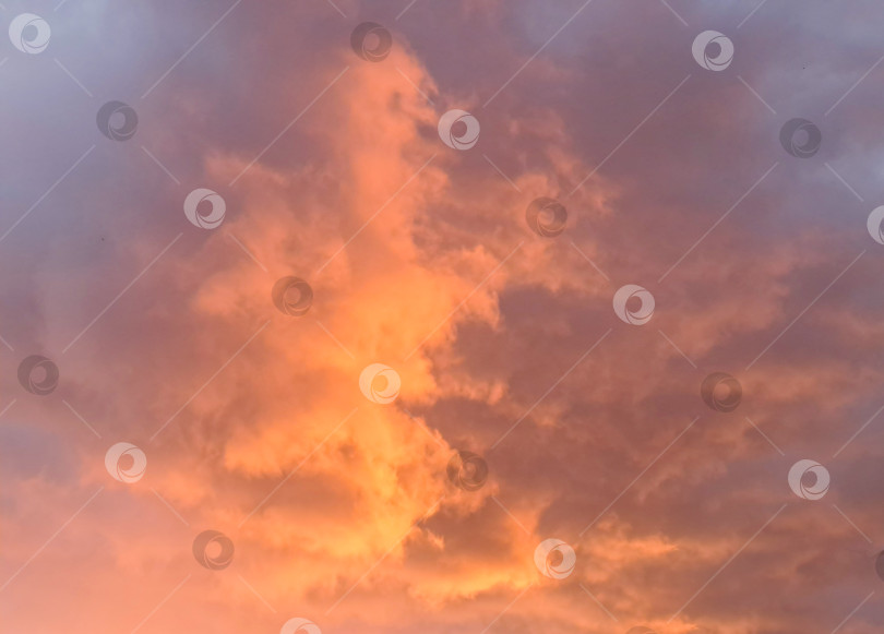 Скачать На небе фиолетовые облака, похожие на чудовище. Голубое грозовое небо в качестве фона фотосток Ozero