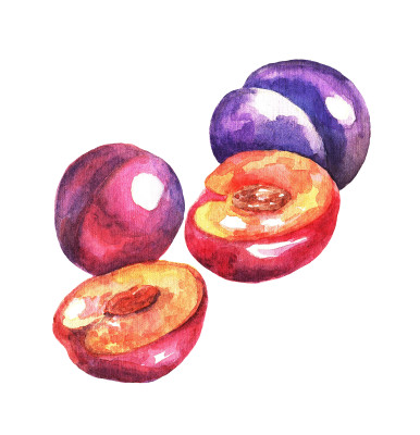 [object Object] undefined