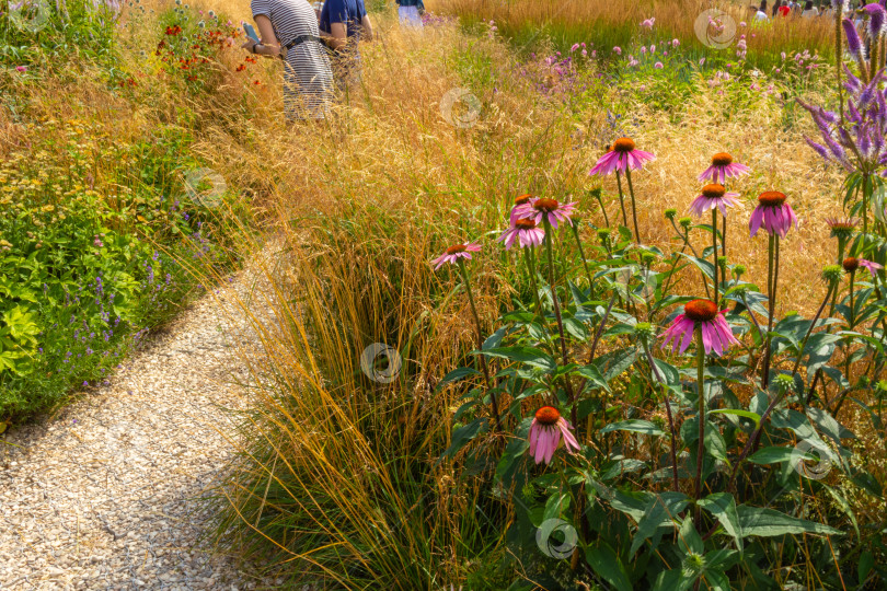 Скачать Люди в саду с красивыми растениями и цветами летом фотосток Ozero
