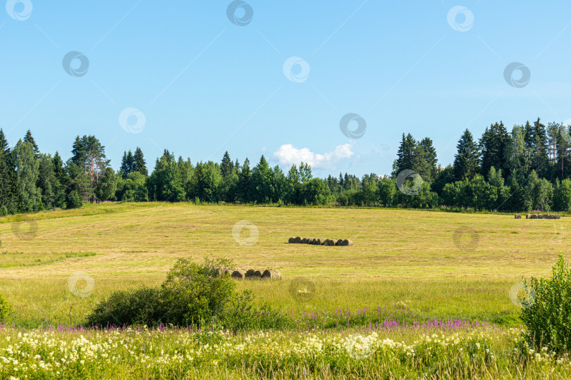 Скачать Стога сена на лугу на фоне леса и неба. фотосток Ozero