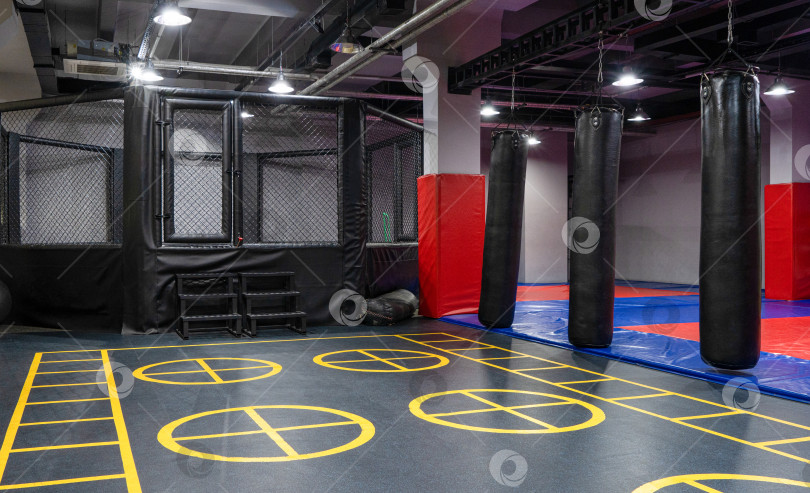Скачать Восьмиугольная клетка для кикбоксинга с боксерскими мешками в спортивном комплексе фотосток Ozero