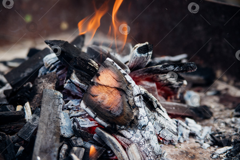 Скачать Ярко горящий костер с красным пламенем, приготовленный из дерева в уличном гриле.Авантюрный образ жизни в путешествиях. Активный отдых в выходные дни на природе. фотосток Ozero