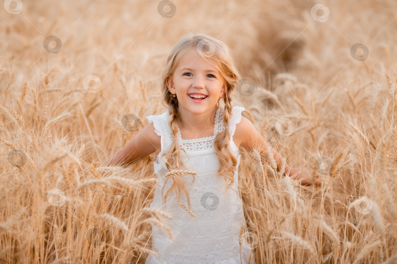 Скачать Маленькая белокурая девочка гуляет по летнему пшеничному полю фотосток Ozero