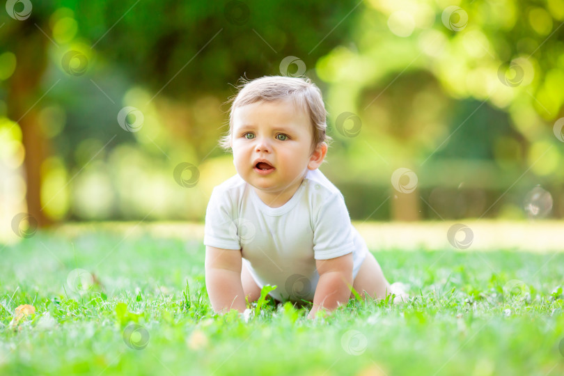 Скачать Симпатичный малыш в белом боди учится ползать. Здоровый малыш ползает по зеленой траве летом фотосток Ozero