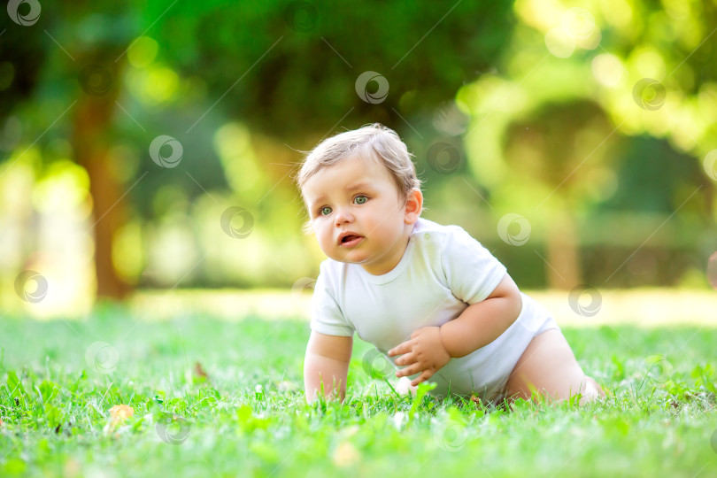 Скачать Симпатичный малыш в белом боди учится ползать. Здоровый малыш ползает по зеленой траве летом фотосток Ozero