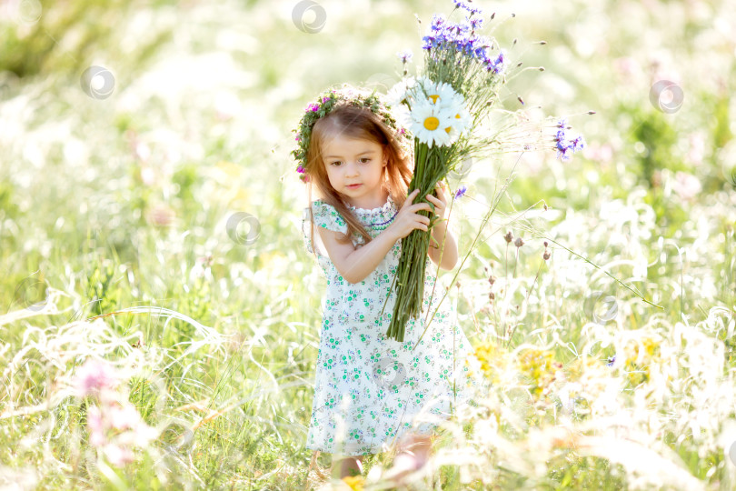 Скачать портрет милой маленькой девочки с венком на голове, улыбающейся и держащей в руках полевые цветы василька фотосток Ozero
