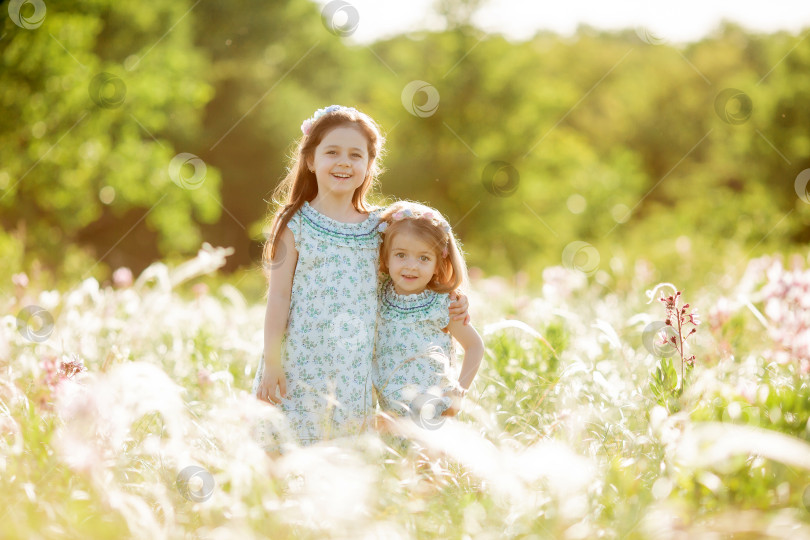 Скачать Две маленькие девочки-сестры гуляют летом в поле фотосток Ozero