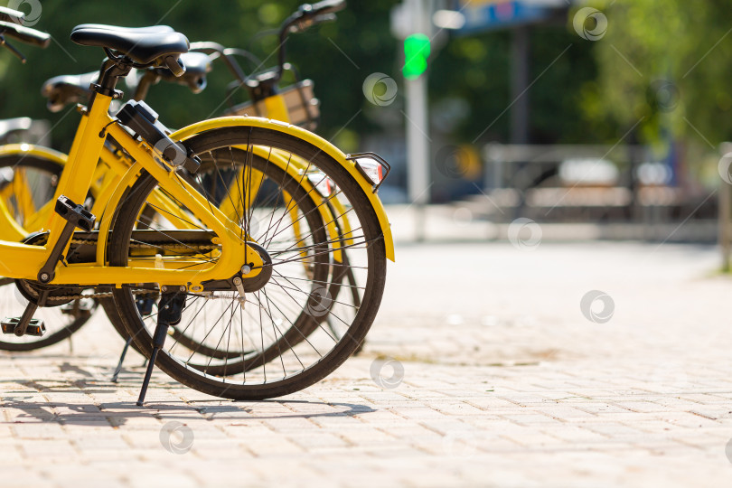 Скачать велосипеды можно взять напрокат на городской стоянке фотосток Ozero