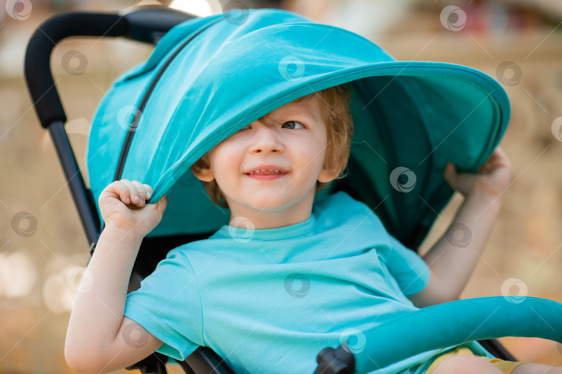 Скачать маленький мальчик двух лет сидит летом в синей коляске. развитие ребенка. Образ жизни детей фотосток Ozero