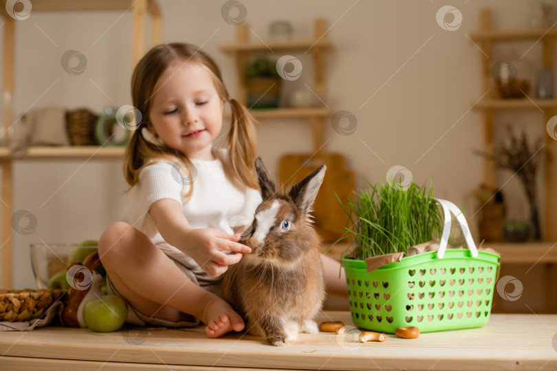 Скачать Милая маленькая девочка на деревянной кухне дома кормит кролика свежей травой фотосток Ozero