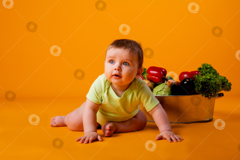 Скачать маленький мальчик сидит рядом с тазом со свежими овощами на желтом фоне, место для текста. концепция экологически чистых фермерских продуктов фотосток Ozero