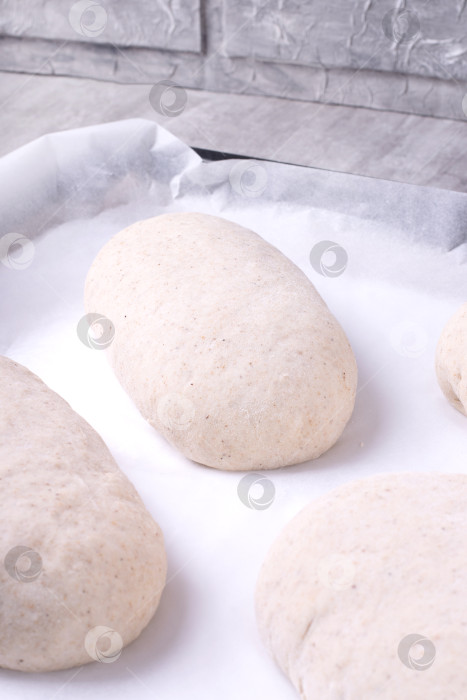 Скачать Сырое тесто для ржаного хлеба на закваске без дрожжей. Расстойка. фотосток Ozero