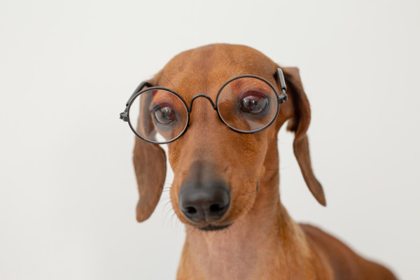 [object Object] undefined
