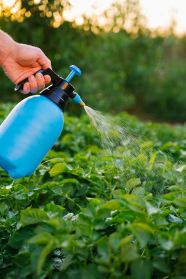 [object Object] undefined