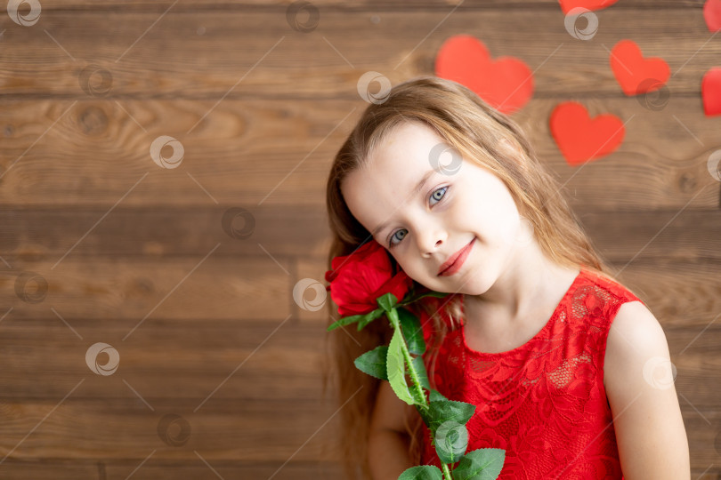 Скачать портрет маленькой девочки в красном платье, держащей красную розу на темно-коричневом деревянном фоне и мило улыбающейся, концепция дня святого Валентина, пустое место для текста фотосток Ozero