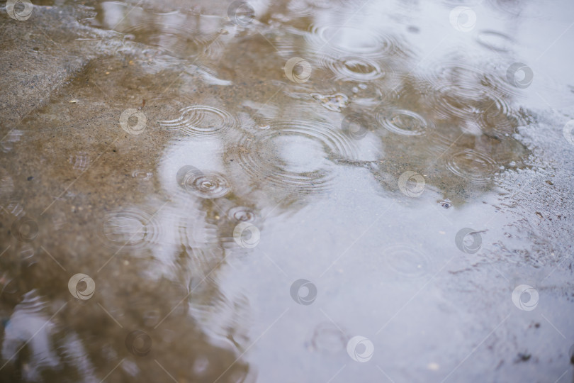 Скачать Капли дождя падают в лужу. Лужи на бетонной поверхности. Сезон дождей приходится на осень или весну. Пасмурный день. фотосток Ozero
