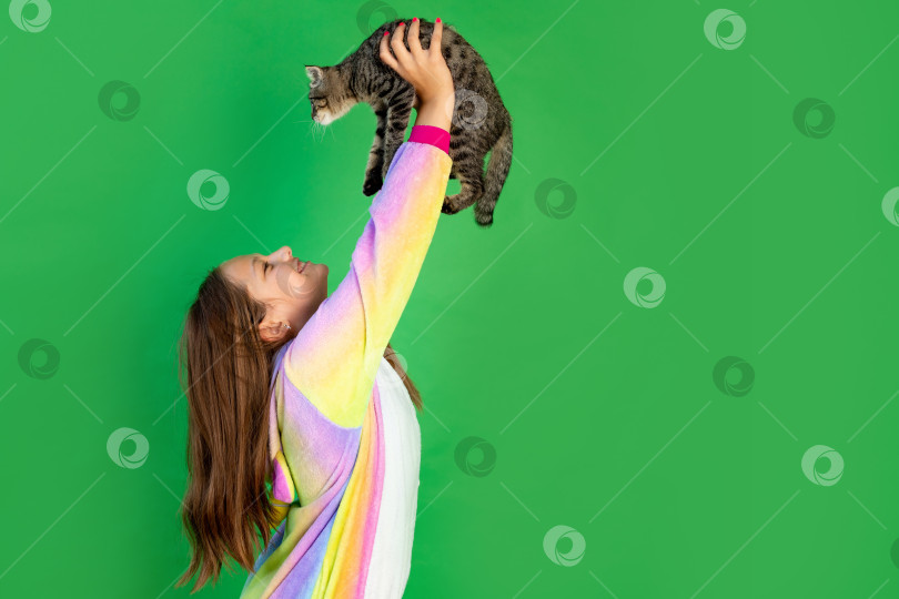 Скачать симпатичная девушка с кошкой на руках. Зеленый изолированный фон. Место для текста. животное в подарок фотосток Ozero
