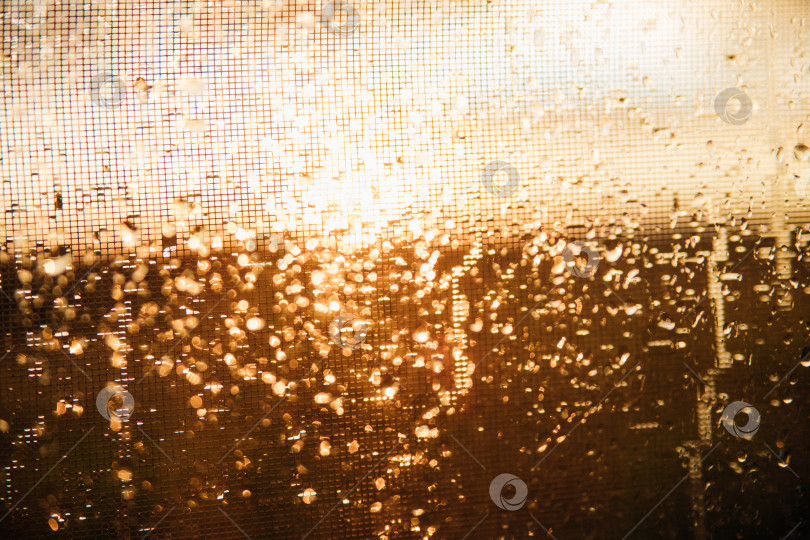 Скачать Крупный план капель дождя на прозрачном стекле.Размытый фон силуэтного пейзажа, солнце с золотистым светом во время заката или восхода солнца.Текстура мокрого стекла. Абстрактный фон. фотосток Ozero