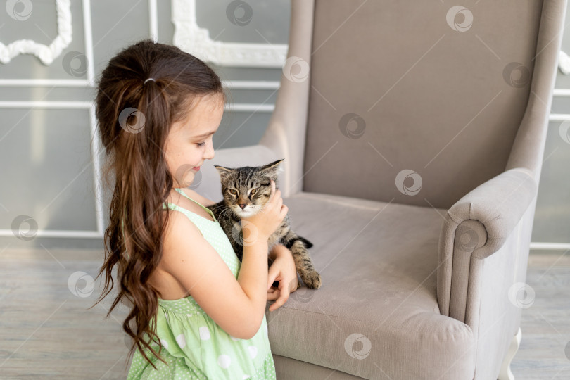 Скачать Ребенок играет с кошкой дома, маленькая девочка держит кошку на руках, концепция детской дружбы с животными фотосток Ozero