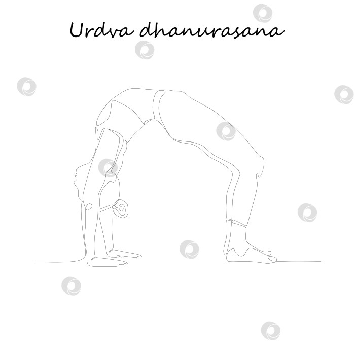 Скачать Рисование непрерывной линией. Молодая женщина, выполняющая упражнение по йоге, изображение силуэта. Черно-белая иллюстрация, нарисованная в один ряд фотосток Ozero