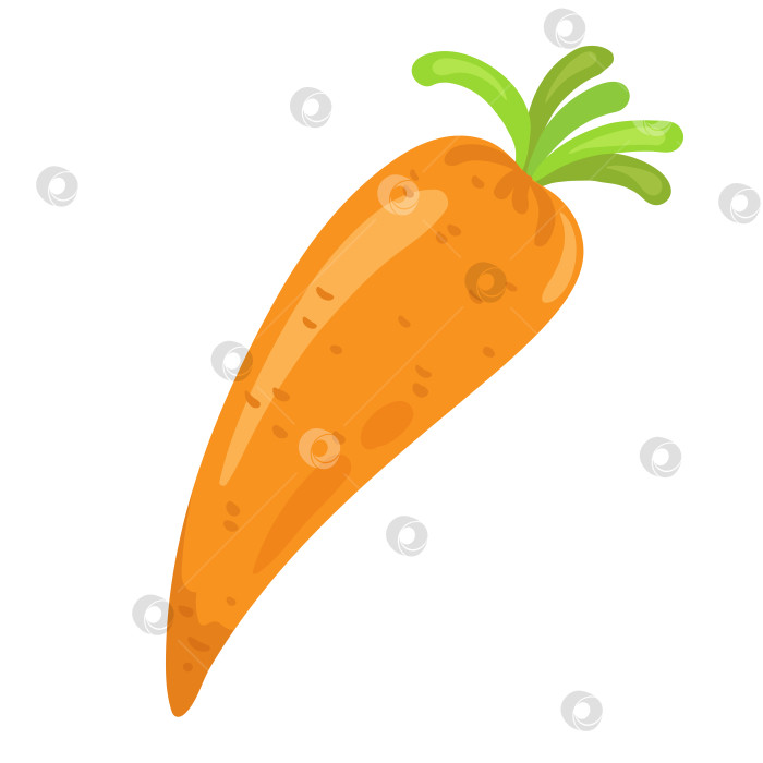 Скачать Симпатичная оранжевая морковка. В мультяшном стиле фотосток Ozero