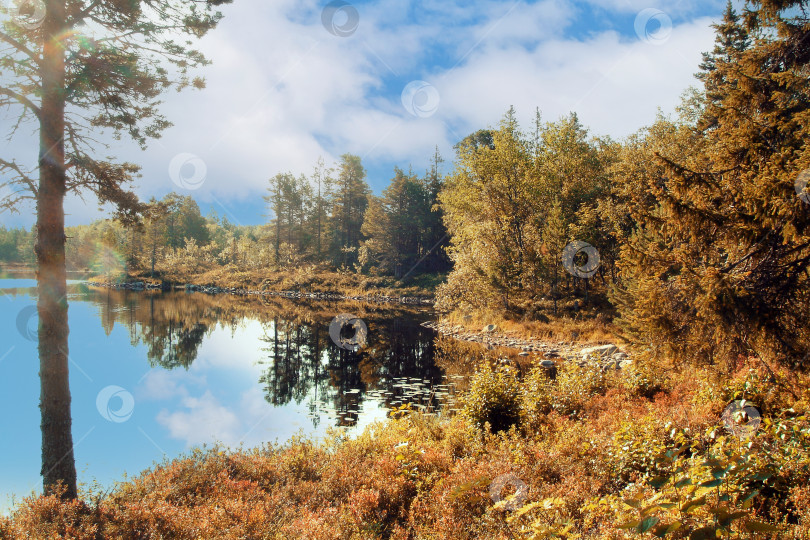 Скачать Осенний пейзаж с отражением в озере. Теплый солнечный день фотосток Ozero