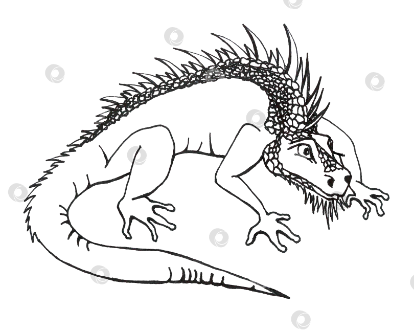 Скачать Чешуйчатый ящероподобный дракон с длинным острым гребнем на спине фотосток Ozero