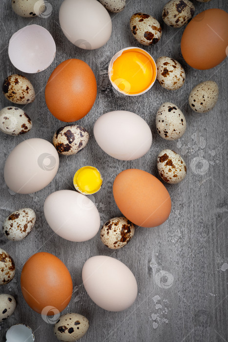 Скачать Вид сверху на куриные и перепелиные яйца на столе фотосток Ozero