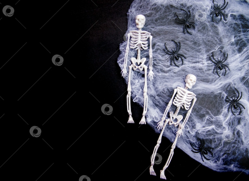 Скачать Концепция счастливого праздника Хэллоуин. Паутина, скелеты, пауки на черном фоне. фотосток Ozero