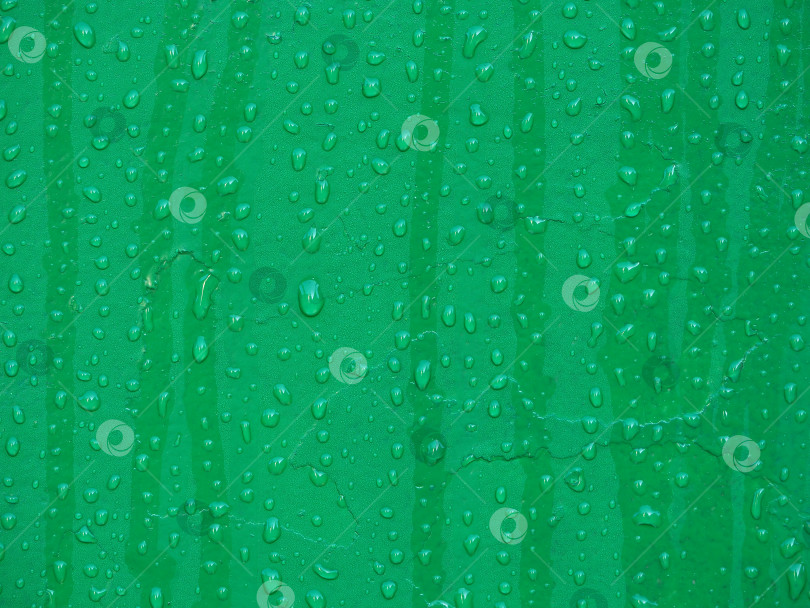 Скачать Капли воды на Зеленом Фоне. Текстура капли воды крупным планом фотосток Ozero