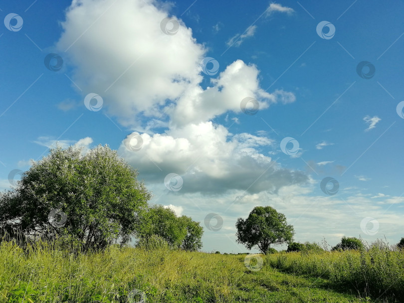 Скачать Белое облако в синем небе над летним лугом фотосток Ozero