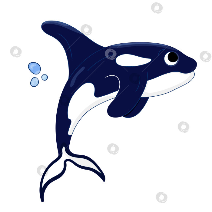 Скачать Синяя мультяшная векторная иллюстрация касатки. Обитатель океана. Морская косатка, морские животные. фотосток Ozero