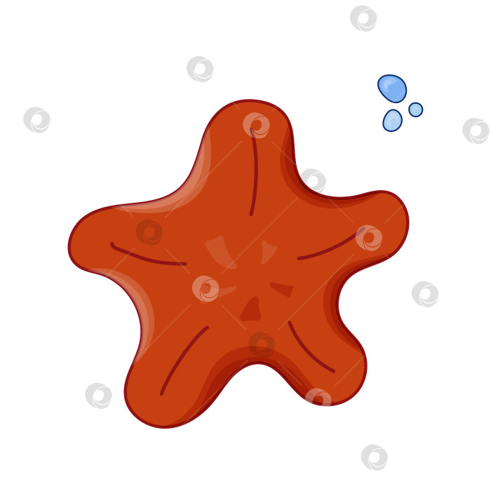 Скачать Морская векторная иллюстрация морской звезды с воздушным пузырем. Мультфильм, выделенный на белом фоне. Морская жизнь и природа фотосток Ozero