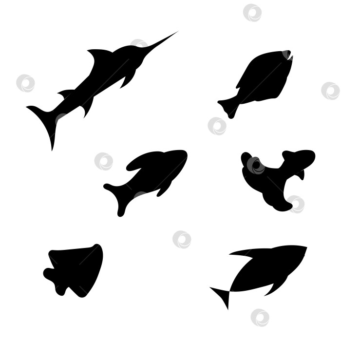 Скачать Силуэт морской рыбы. Векторная контурная иллюстрация. Концепция всемирного дня океана, моря, морских животных. фотосток Ozero