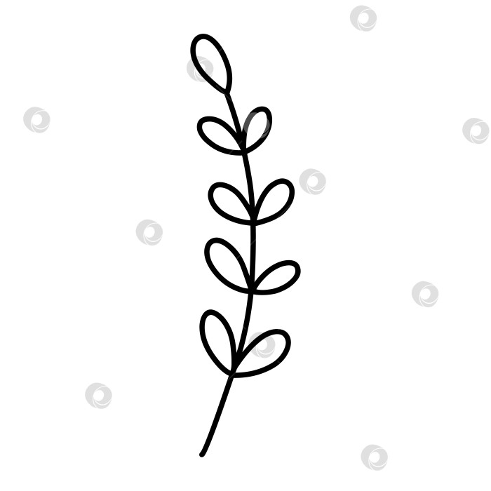 Скачать Симпатичная ветка с листьями, выделенными на белом фоне фотосток Ozero