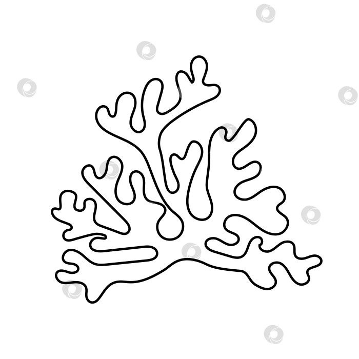 Скачать Нарисуйте коралловый контур каракулями. Векторный значок изолирован. Концепция всемирного дня океана, морских растений. фотосток Ozero