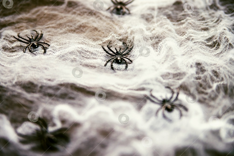 Скачать Фон Хэллоуина с пауками в паутине. Белая паутина с черными декоративными пауками. фотосток Ozero