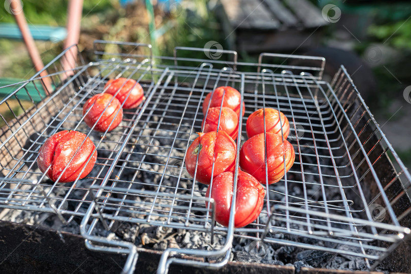 Скачать Приготовление помидоров на углях в гриле фотосток Ozero